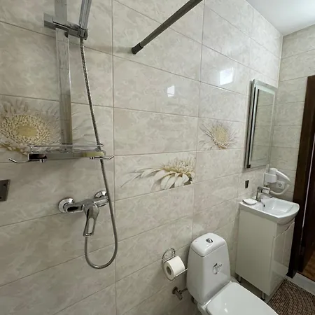 Guest house Kolos House Slavske